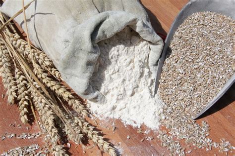 Beste café restaurants in oldenburg, niedersachsen: Bäckerei Oldenburg - traditioneller Bäcker in Ratzeburg