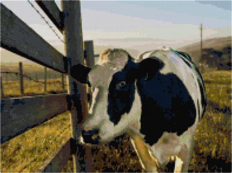 It's simple, free and blazing fast! HOLSTEIN COW CROSS STITCH PATTERN PDF ONLY
