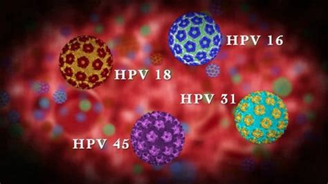 Human papillomavirus (hpv) is a common sexually transmitted infection. Virus HPV có thể gây ra những bệnh gì? | Vinmec