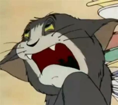 Top 50 Hình ảnh Tom And Jerry Meme Cực Troll Cười Vỡ Bụng
