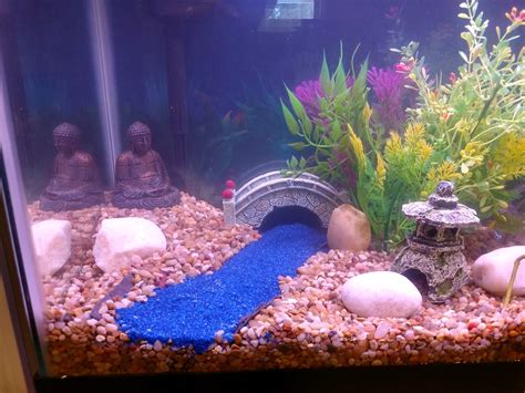 6 Fun Aquarium Decor Ideas To Make Your Fish Tank More Interesting
