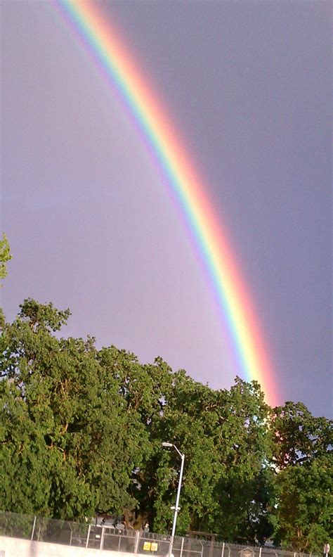 Brightest Rainbow Ive Ever Seen Rainbow Pictures Gods Creation