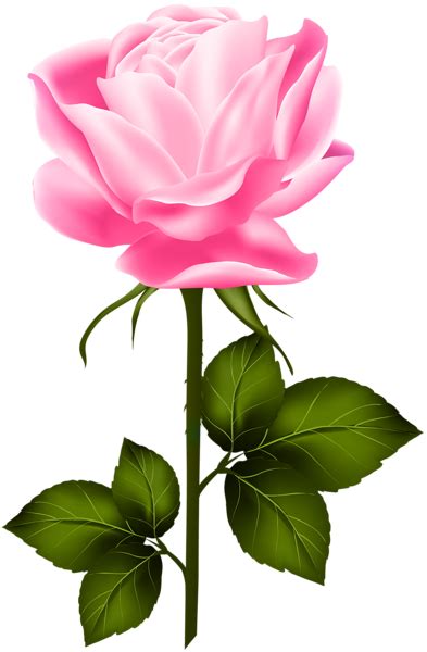 Pink Rose With Stem Png Clip Art Hybrid Tea Roses Beautiful Flowers