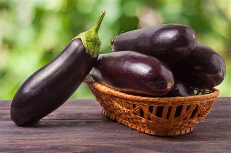 L aubergine fruit ou légume