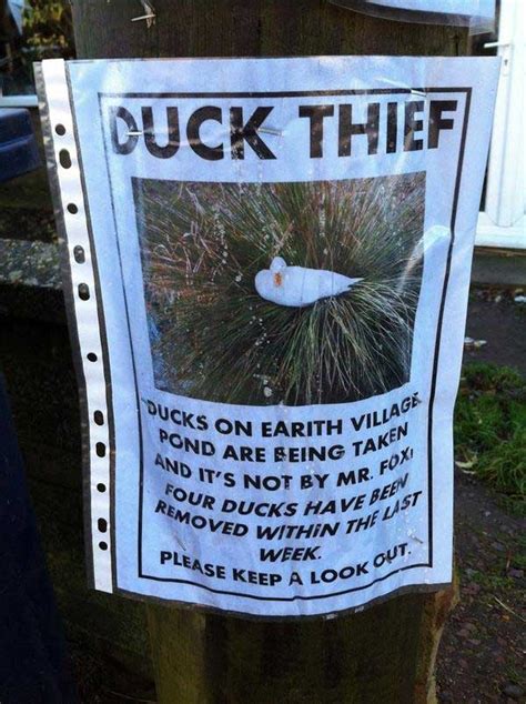 Nothing To Do With Arbroath Villagers Seek Duck Thief