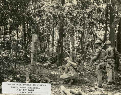 Soldiers Carrying M1 Garands Patrol A Jungle Trail Near Talasea New