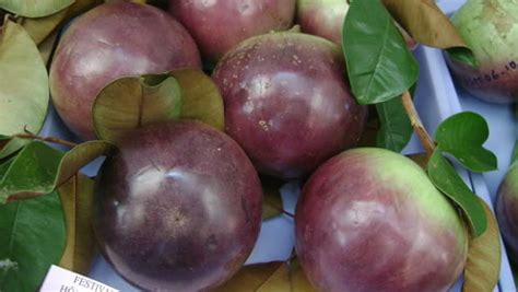 The relation between food and acne has always been under debate. 24 Worst Foods On List of Top Foods That Cause Acne ...