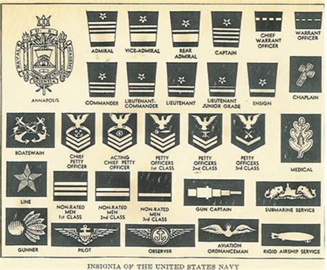 Military Branches Military History By Ariana