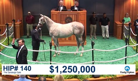 The film follows 10 adventurers on an island with a million dollars in cash on their backs. This Horse Sold For OVER A MILLION DOLLARS at the Saratoga ...