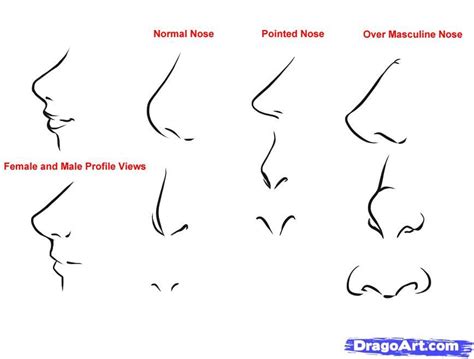 How To Draw Anime Noses By Dawn Anime Nose Nose Drawing Manga Nose