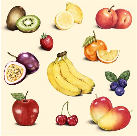 Illustration Of Isolated Assortment Of Fruits Watercolor Style