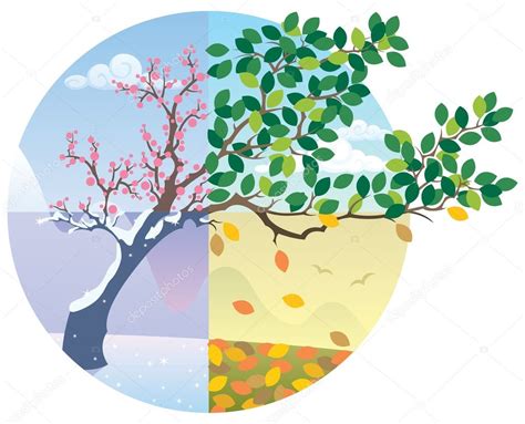 Seasons Cycle ⬇ Vector Image By © Malchev Vector Stock 6536001