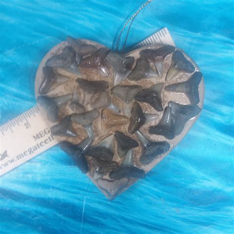 Shark Heart 28 Variety · L1 4 L2 4 · Megateeth