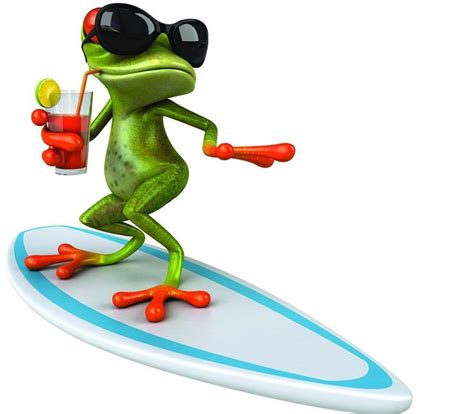 Funny Pictures Of Frogs Clipart Best
