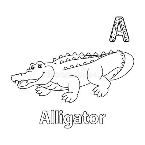 Alligator Alphabet Abc Coloring Page A Stock Vector Illustration Of