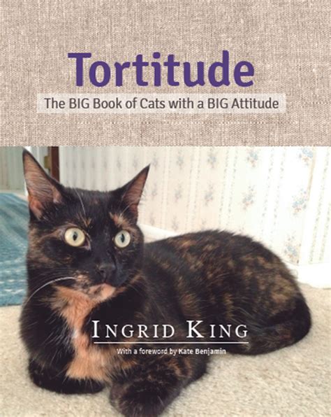 Fur Everywhere Tortitude The Big Book Of Cats With A Big