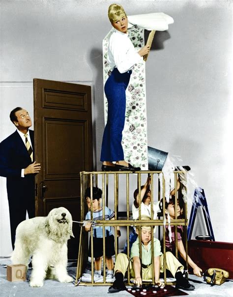 Doris Day And David Niven In Please Don T Eat The Daises In 1960 Dory