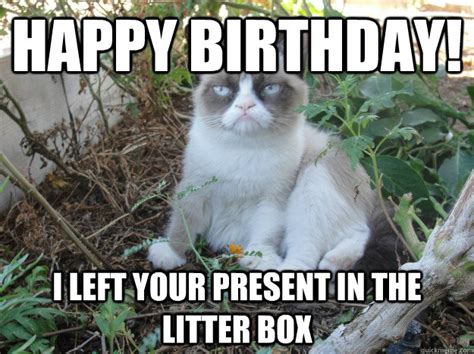 What's the best birthday present you have ever got? happy birthday! i left your present in the litter box ...