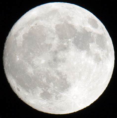 Follow and join the cause!!! Full moon moon GIF on GIFER - by Shaktigore