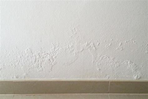 How To Treat Damp Walls Internally Comprehensive Guide 2024