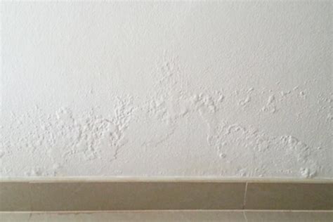 More images for damp patches on walls in bedroom » Damp problems: Causes, Solutions, Prices and Advise