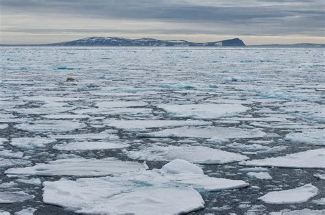 Infografik ini membantu anda untuk memahami fenomena pemanasan global. 10 Gambar Global Warming Paling Menarik Perhatian