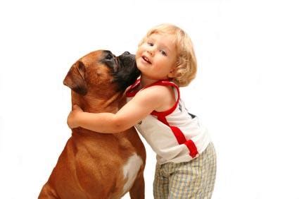 Save a dog germany e.v. Incredible Stories of Dogs Saving Human Lives | LoveToKnow