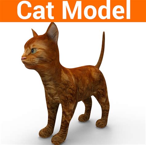 3d Low Poly Pet Cat Model Game Ready Cgtrader