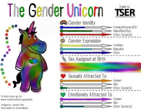 Gender Unicorn Lgbt Amino