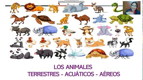 Grado 1° Naturales Animales Según Su Hábitat Primera Parte Youtube