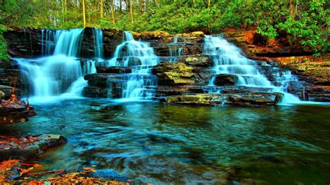 Forest Cascade Pool Waterfalls Hd Wallpaper