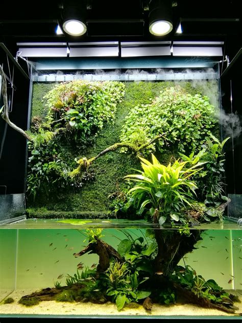 21 truly surreal fish aquarium designs by takashi amano. nature aquarium,Takashi Amano 天野尚 #AquariumTanksIdeas ...