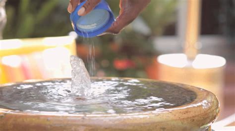 2 keeping your own secret. How to Keep Garden Fountain Water Clean : Landscaping Tips ...