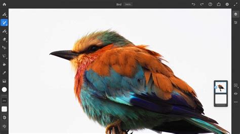 Adobes Photoshop For Ipad And Fresco Are Now 2 For 1 Creative Bloq