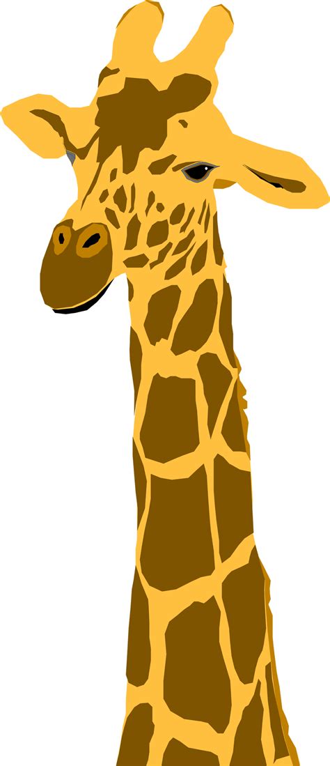 Giraffe Clipart Orange Giraffe Illustration Transparent Background