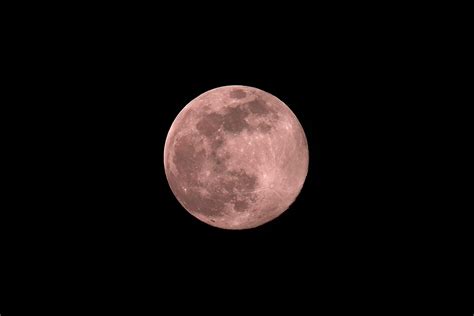 First Pink Supermoon Of 2021 Everything You Need To Know Balthazar Korab