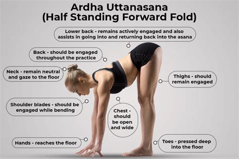 Ardha Uttanasana Standing Half Forward Bend Steps Benefits Precautions Fitsri Yoga