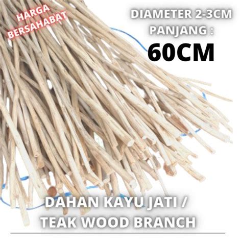 Jual Unik Teak Wood Branch For Macrame Ranting Dahan Kayu Jati Di Lapak