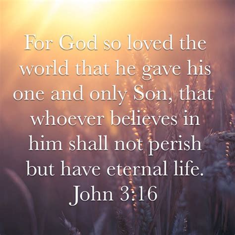 John 316 New International Version Niv For God So Loved The World
