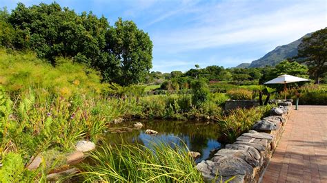 Kirstenbosch National Botanical Gardens In Cape Town Expedia