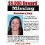 10 Missing Person Poster Templates  Excel PDF Formats