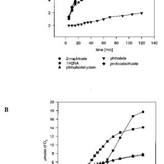 Bartłomiej morawski w programie tv. Proposed catabolic route for the degradation of 2 ...