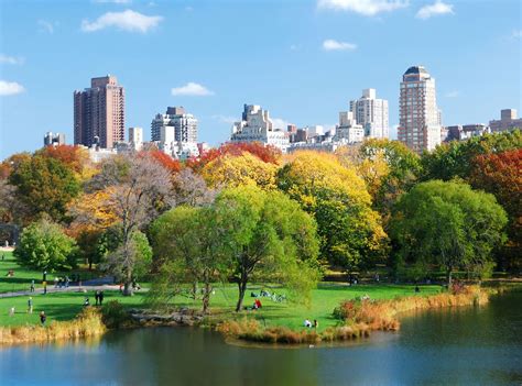 bigstock-new-york-city-central-park-in-26078186_crop - USA Spesialisten AS