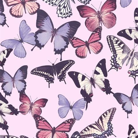 Grandeco Botanical Butterfly Pattern Wallpaper Modern Textured