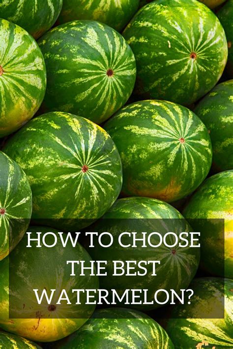 How To Choose The Best Watermelon