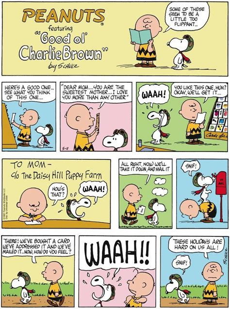 Charlie Brown Peanuts Snoopy Comics Snoopy Cartoon Peanuts Cartoon