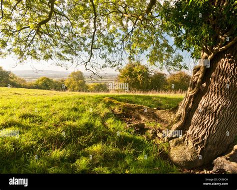 Scenic English Countryside View On A Sunny Day Stock Photo Royalty