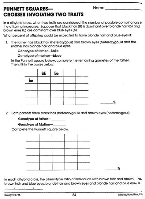 Example solves a two trait (two factor) test cross which can then. Dihybrid Punnett Square Worksheets