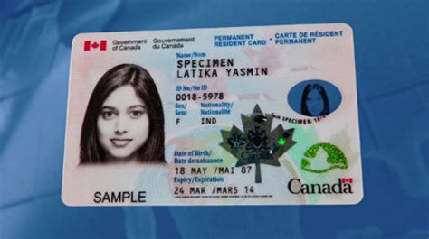 Returning to canada without a permanent resident (pr) card. Expired Maple Leaf Card can turn immigrants into exiles | Toronto Star