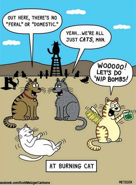 Pin By Norway And Beyond On Cats ~ Kitty Cartoons Funny Cat Memes